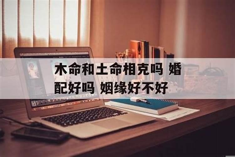 命里有姻缘但不结婚