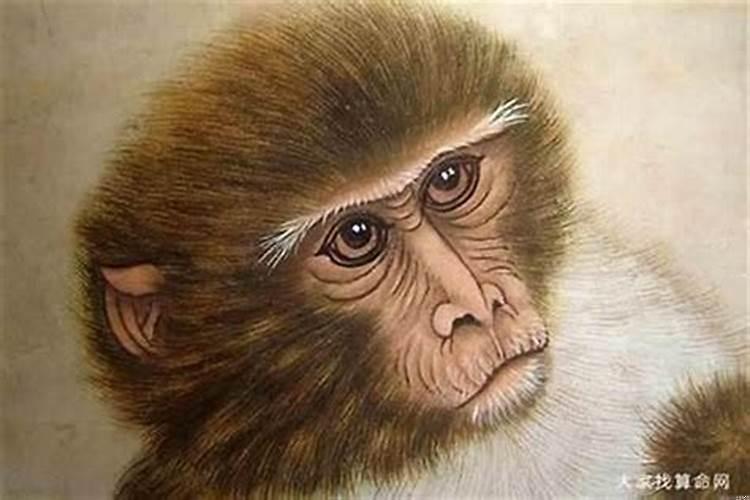 1968年生人是什么命猴人是什么命