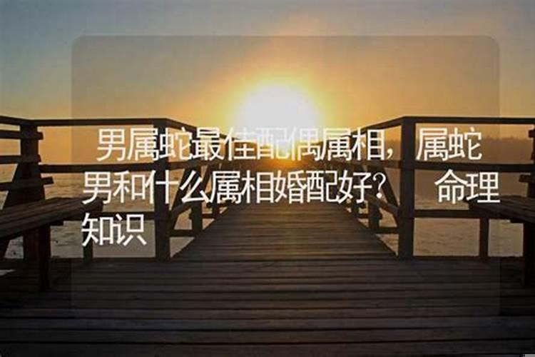 属蛇男生最佳婚配