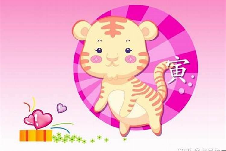 虎年结婚属相