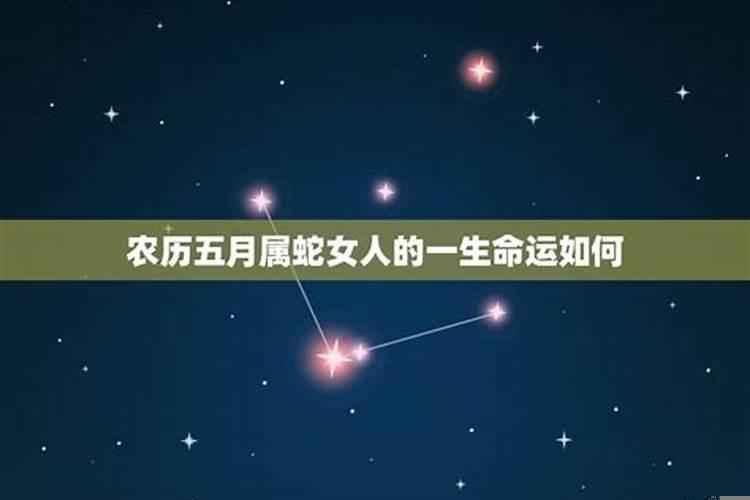 属蛇女的婚姻和属什么比较适合