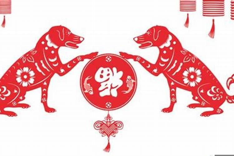 82年狗女一生婚姻状况