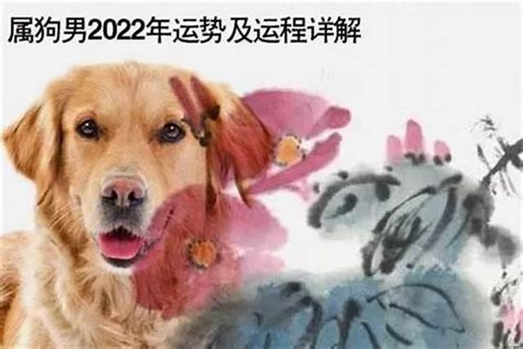 1982年属狗流年运程