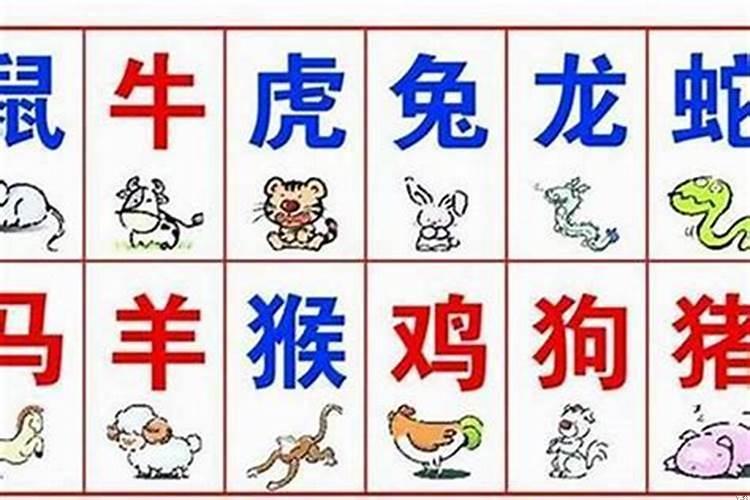 四楼属什么生肖住最好