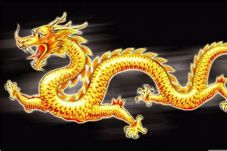 生肖虎人的最佳婚配属相
