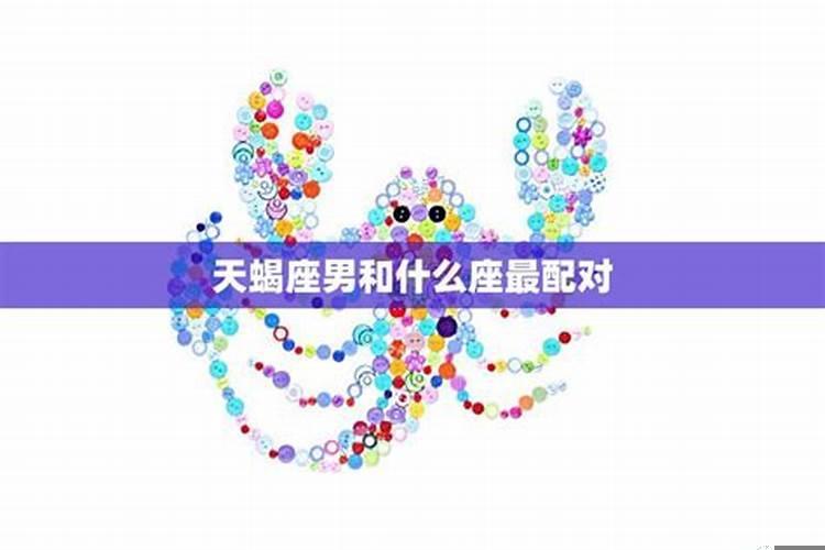 天蝎座男最适合的星座