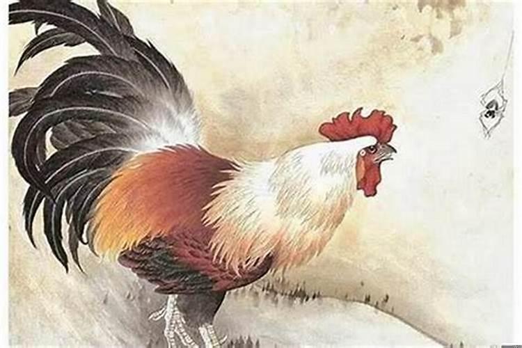 生肖鸡最忌讳