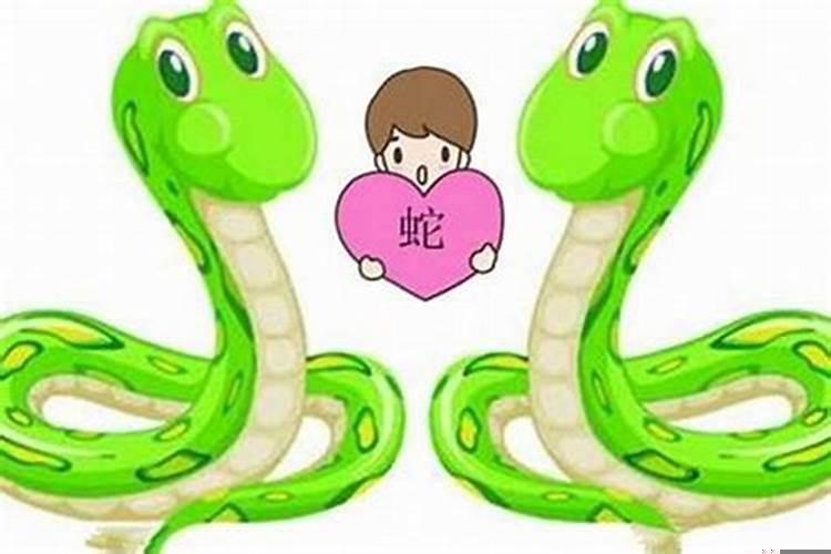 属蛇与属蛇的婚姻