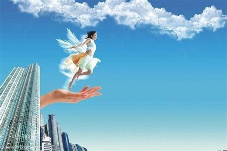 梦到飞了是什么意思