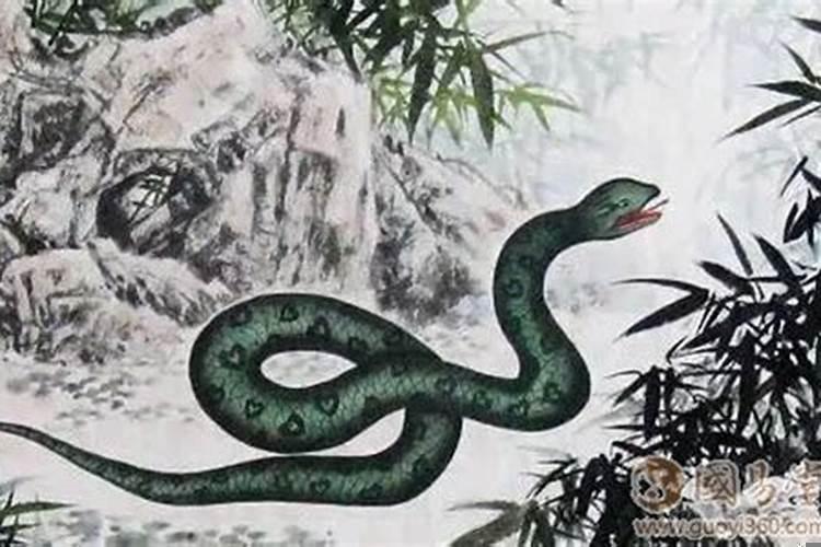 水命蛇是什么意思