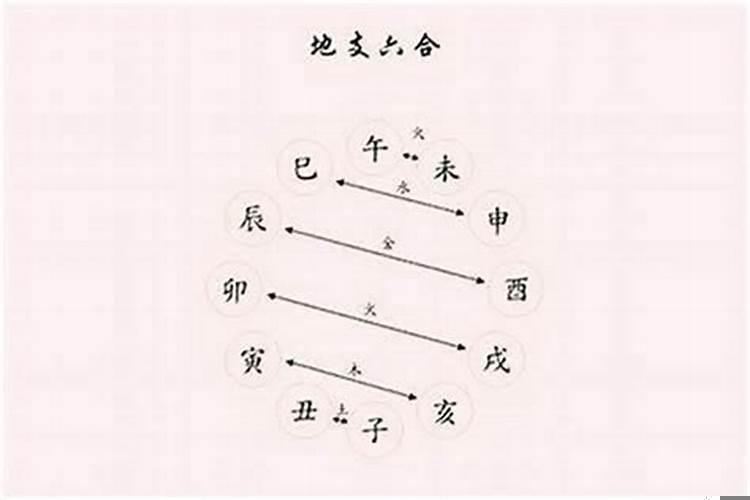 天干合化和地支合化