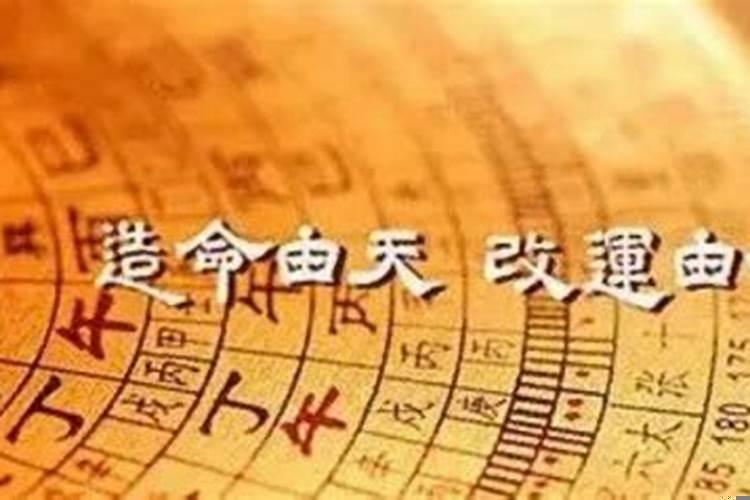 运势到底究竟是什么意思啊