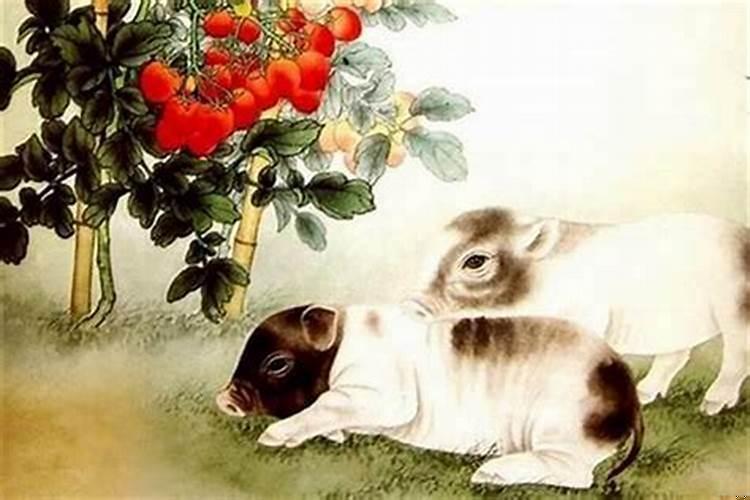 属鸡的和属鼠的婚姻合吗