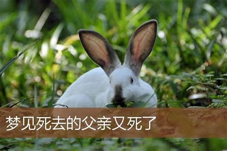 梦见自己家的房子被拆了是什么意思