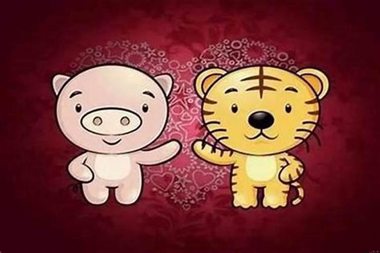 属猪的男生和什么属相最配