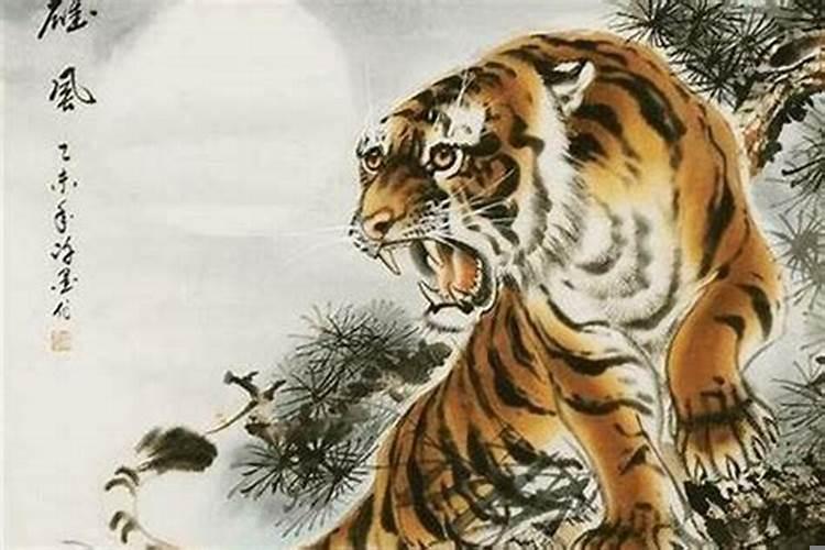 86年属虎二月初二命运