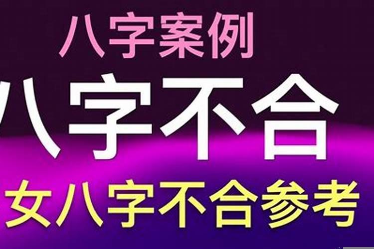怎么查男女八字合不合