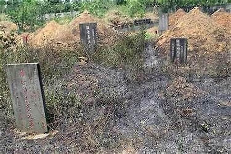 农村建房后面有坟怎么办