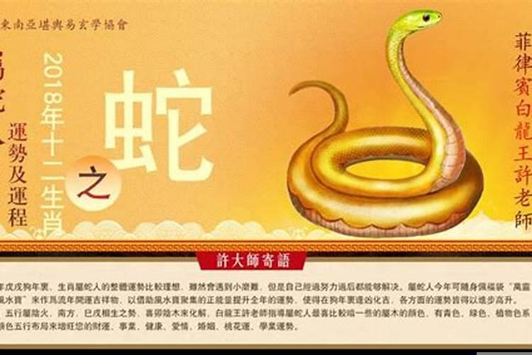 属蛇人鼠年运势2020运势详解