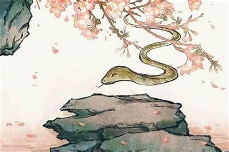 属蛇人鼠年运势2020运势详解