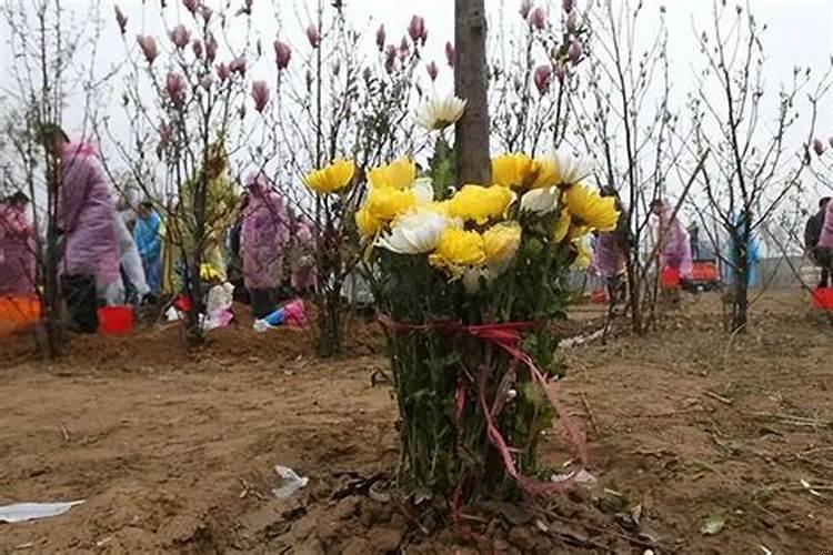 十周年是十年还是十一年