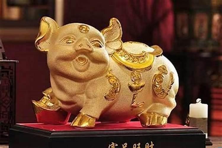 2019年土猪为什么都是金猪