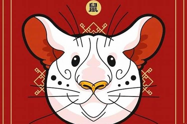属鼠的今年几岁了2008