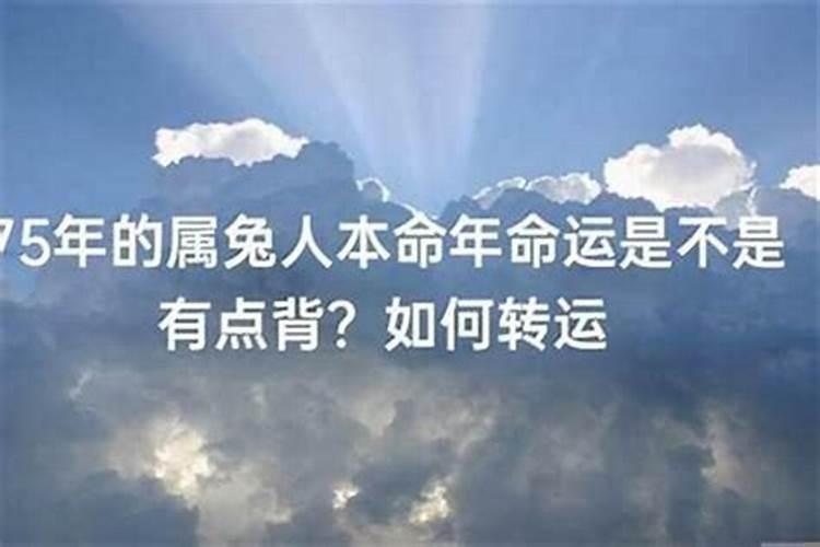 十二生肖最好命出生时间