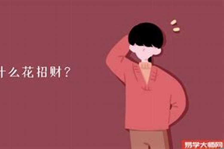 家里客厅摆放什么花招财