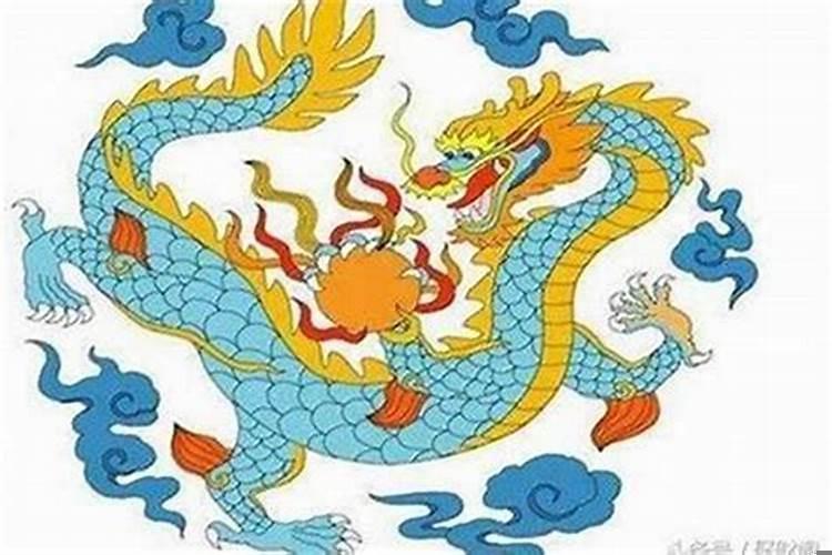男属鸡和女属龙配吗