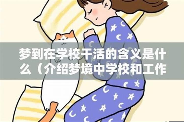 梦见上学的事情