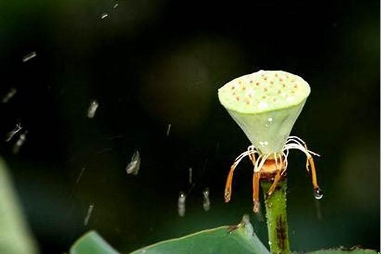 88年的龙住几楼最吉利