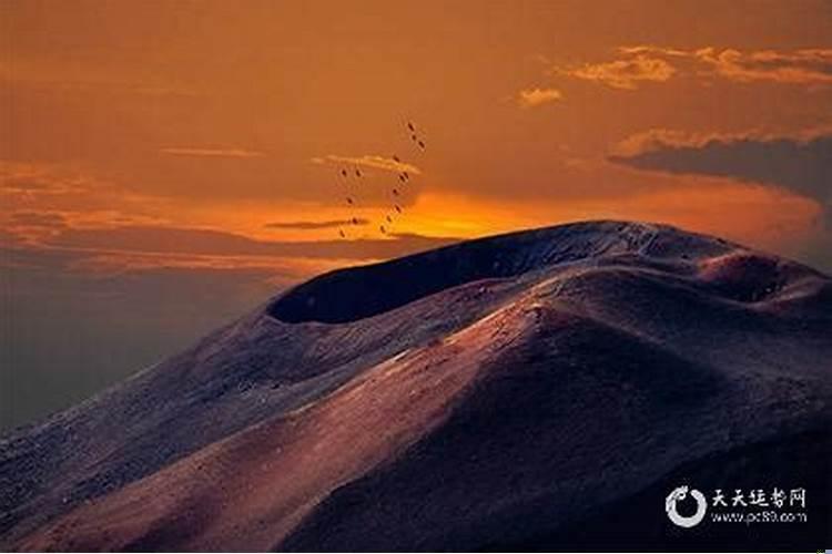 伤官生财格走伤官大运