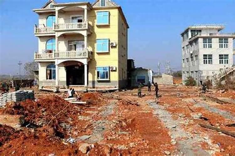 梦见蛇要咬我是什么预兆