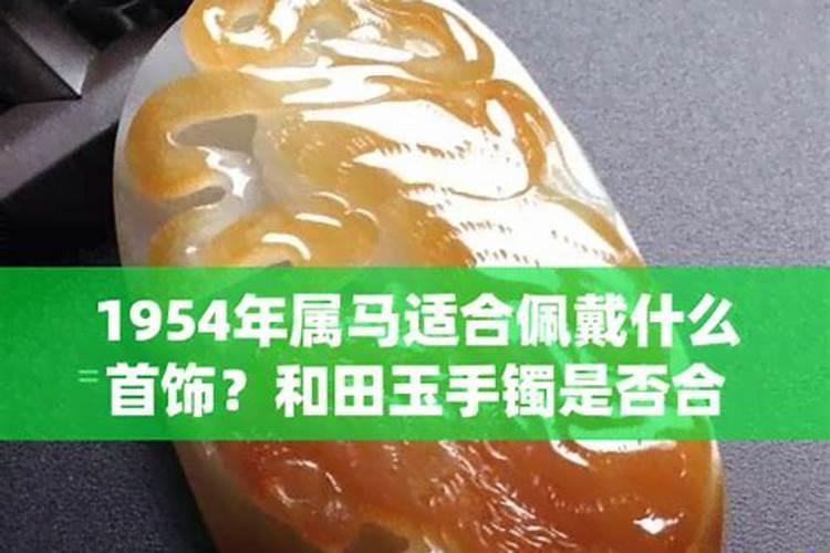 1954年马属于什么命