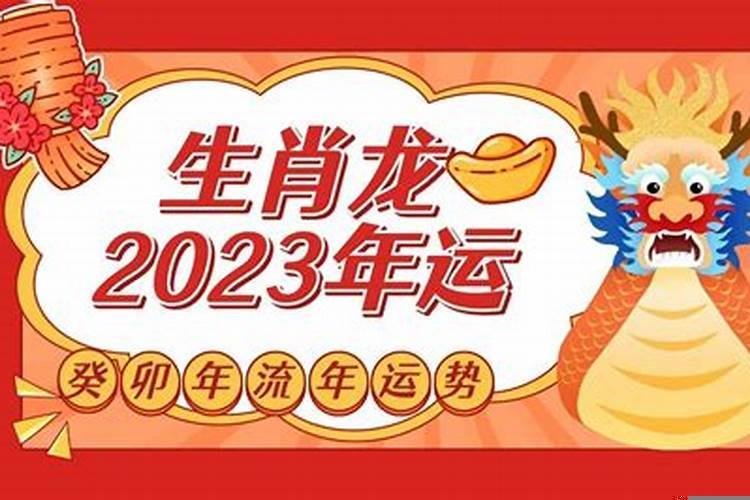 生肖龙事业