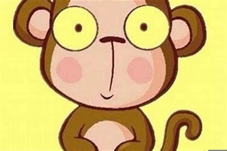 属猴人配属什么的最好