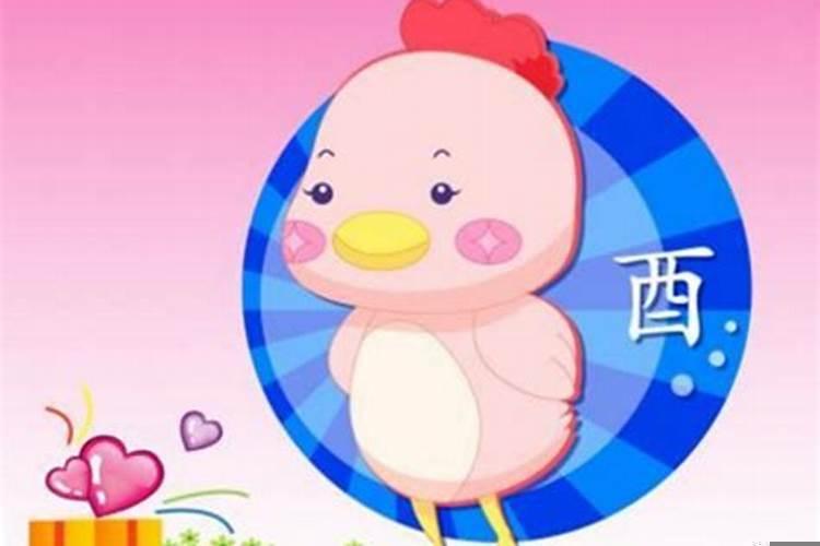 男属鸡适合结婚的属相