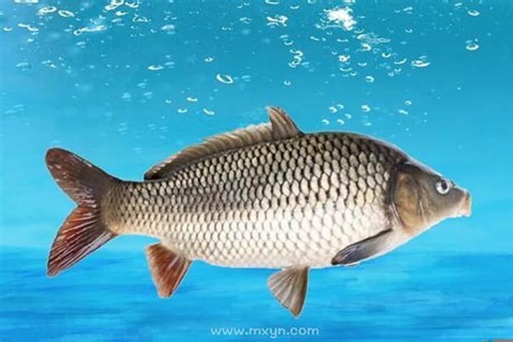 梦到孩子从楼上摔下来是怎么回事