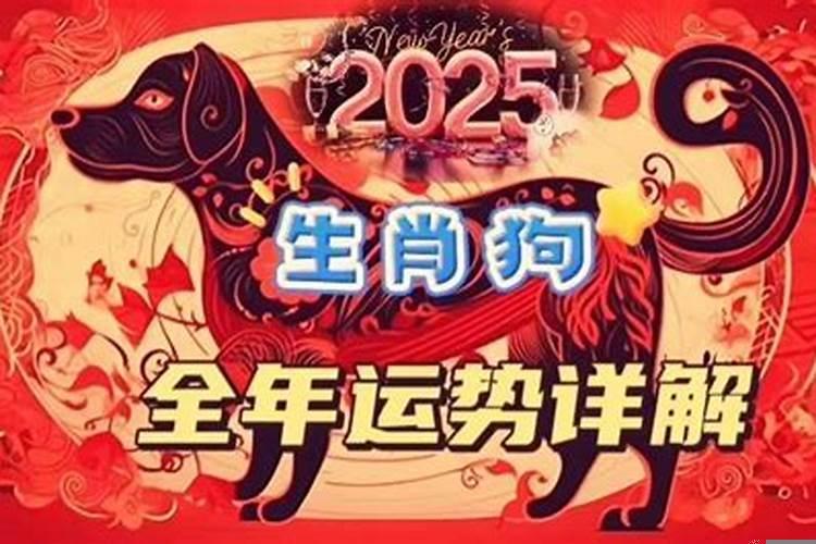 属兔送什么生日礼物