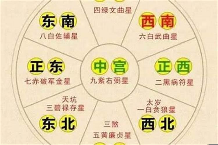 在哪看星座运势