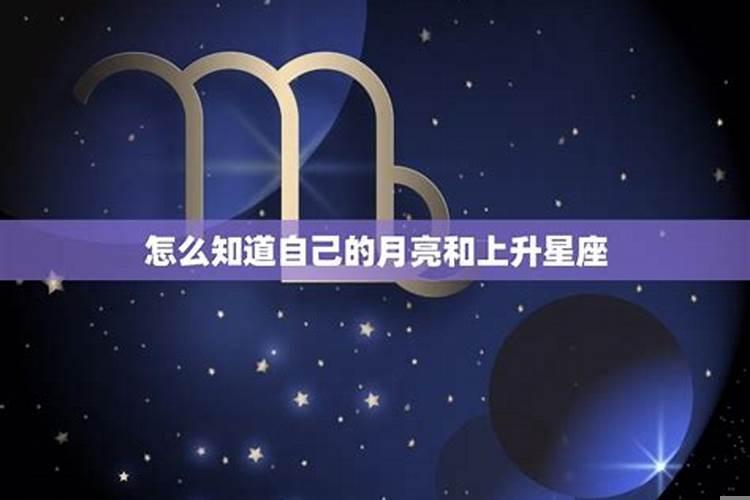 在哪看星座运势