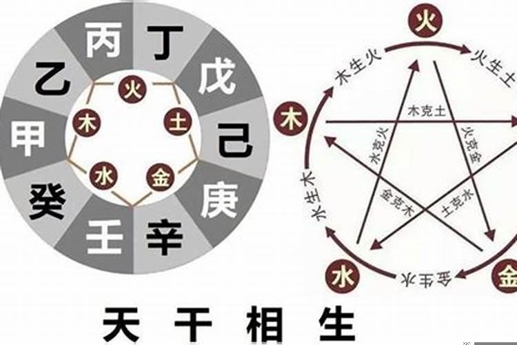 阴阳相合是什么生肖