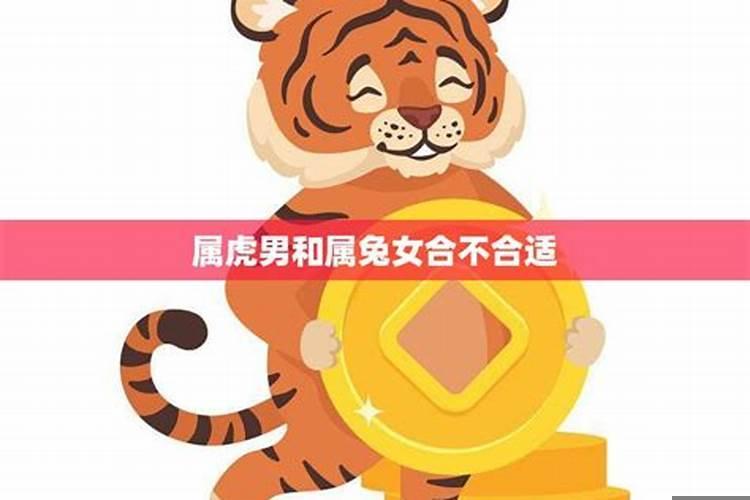 属虎女和属兔男的合不合