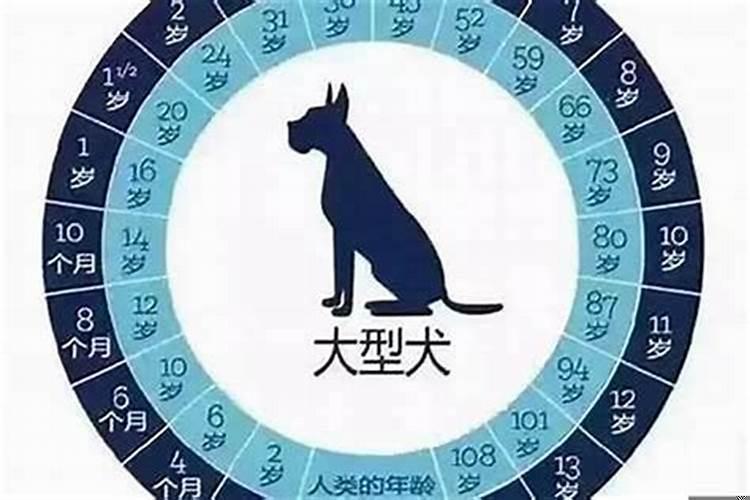 2021年属狗的多大岁