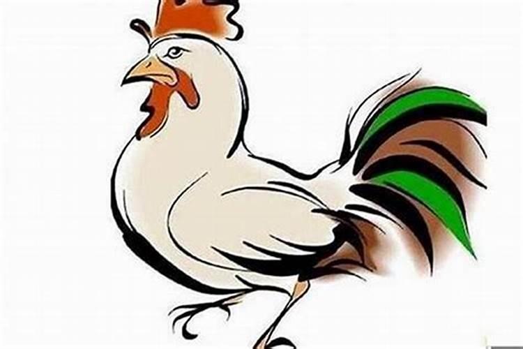 属狗与属鸡的属相合不合