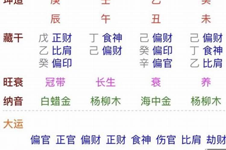 乙巳日柱女命配偶长相