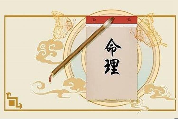 金舆在各柱的含义