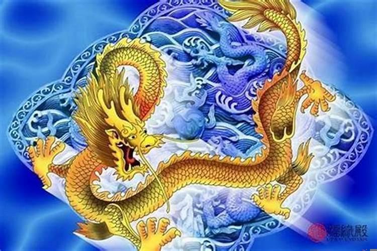 1988年出生的龙婚姻怎么样