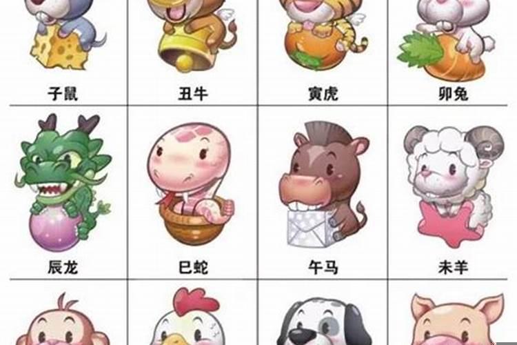夫妻相是什么生肖